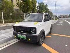 Geely Panda 210km Panda Knight - ფოტო 1