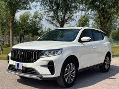 Geely Emgrand X6 2021 PRO 1.4T Automatic Luxury - ფოტო 1