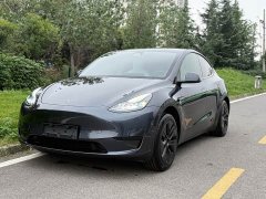 Tesla Model Y Rear-Wheel Drive - ფოტო 1