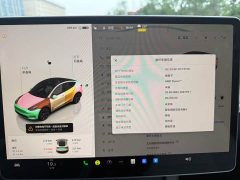Tesla Model Y Rear-Wheel Drive - ფოტო 11