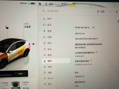 Tesla Model Y Rear-Wheel Drive - ფოტო 12