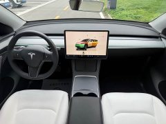 Tesla Model Y Rear-Wheel Drive - ფოტო 9