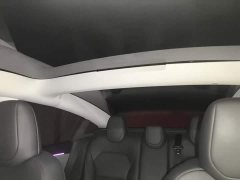 Tesla Model 3 Rear-Wheel Drive - ფოტო 14