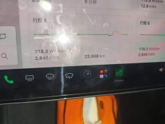 Tesla Model 3 Rear-Wheel Drive - ფოტო 8