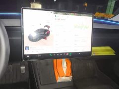 Tesla Model 3 Rear-Wheel Drive - ფოტო 9