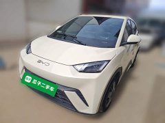BYD Seagull 2025 305km Vitality Edition - ფოტო 1