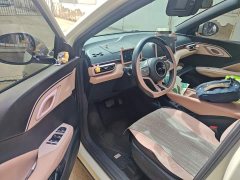 BYD Seagull 2025 305km Vitality Edition - ფოტო 12