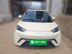 BYD Seagull 2025 305km Vitality Edition - ფოტო 2