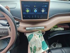 BYD Seagull 2025 305km Vitality Edition - ფოტო 20