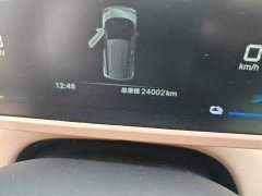 BYD Seagull 2025 305km Vitality Edition - ფოტო 8