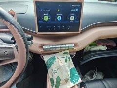 BYD Seagull 2025 305km Vitality Edition - ფოტო 9