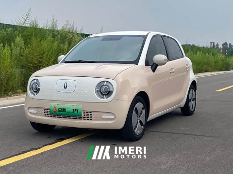 2021 ORA Black Cat 301km Base - ავტომობილი ჩინეთიდან