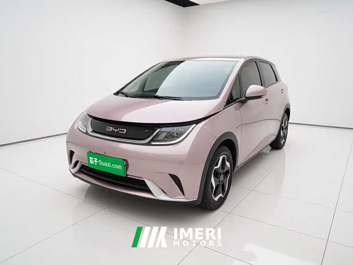 BYD Dolphin 405km Freedom Edition - ავტომობილი ჩინეთიდან