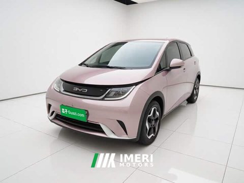 2022 BYD Dolphin 405km Freedom Edition - ავტომობილი ჩინეთიდან