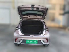 BYD Dolphin 405km Freedom Edition - ფოტო 15