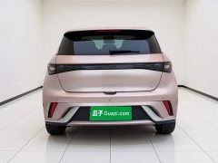 BYD Dolphin 405km Freedom Edition - ფოტო 3