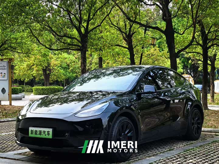 Tesla Model Y 2021 Standard Range RWD - ავტომობილი ჩინეთიდან