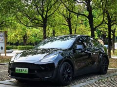 Tesla Model Y 2021 Standard Range RWD - ფოტო 1
