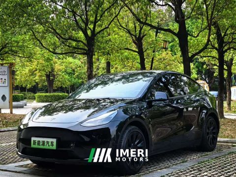 2022 Tesla Model Y 2021 Standard Range RWD - ავტომობილი ჩინეთიდან