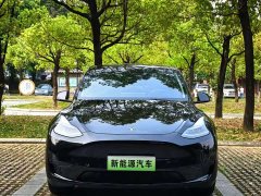 Tesla Model Y 2021 Standard Range RWD - ფოტო 2