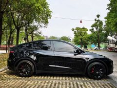 Tesla Model Y 2021 Standard Range RWD - ფოტო 3