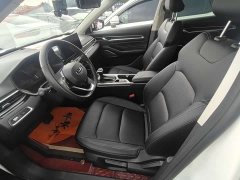 Geely Emgrand 4th Generation Champion Edition 1.5L CVT Luxury - ფოტო 4
