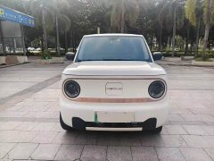 Geely Panda Mini 200km Agile Panda - ფოტო 1