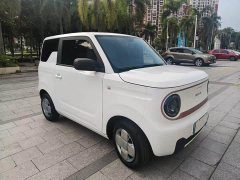 Geely Panda Mini 200km Agile Panda - ფოტო 2