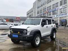 Tank 300 2023 Off-Road Edition 2.0T Conqueror - ფოტო 1