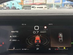 Tank 300 2023 Off-Road Edition 2.0T Conqueror - ფოტო 14