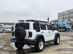 Tank 300 2023 Off-Road Edition 2.0T Conqueror - ფოტო 3