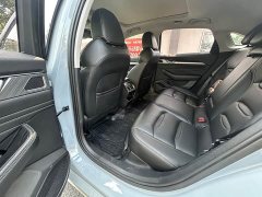 Geely Xingui Xingrui 2.0T Diesel Luxury - ფოტო 4