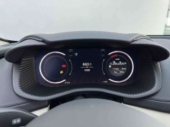 Aston Martin DBX 4.0T V8 - ფოტო 18