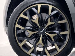 Aston Martin DBX 4.0T V8 - ფოტო 8
