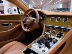 Bentley Continental 2022 4.0T GT V8 - ფოტო 18