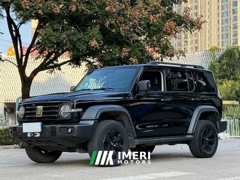 2021 Tank 300 Off-Road Edition 2.0T Conqueror - ავტომობილი ჩინეთიდან