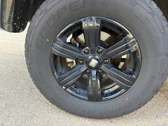 Tank 300 Off-Road Edition 2.0T Conqueror - ფოტო 17