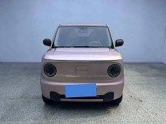 Geely Panda Mini 200km Endurance Edition - ფოტო 2