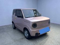 Geely Panda Mini 200km Endurance Edition - ფოტო 3