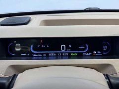Geely Panda Mini 200km Endurance Edition - ფოტო 6