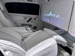 Tesla Zun S800 Extended Range Starlight Executive Edition 4-Seater (192-line LiDAR) - ფოტო 13