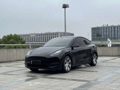Tesla Model Y Standard Range RWD - ფოტო 1