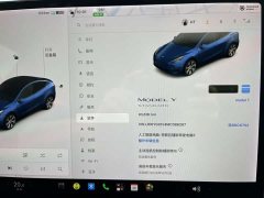 Tesla Model Y Standard Range RWD - ფოტო 11