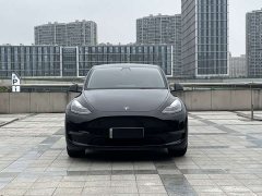 Tesla Model Y Standard Range RWD - ფოტო 2