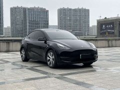 Tesla Model Y Standard Range RWD - ფოტო 3