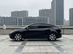 Tesla Model Y Standard Range RWD - ფოტო 4