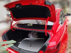 Geely Binrui 1.4T CVT Asian Games Edition - ფოტო 20