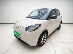 Wuling Binguo 333km Joy Edition - ფოტო 1