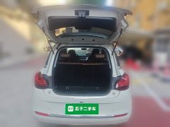 Wuling Binguo 333km Joy Edition - ფოტო 15