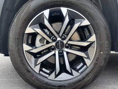 Haval Big Dog PLUS 1.5T Trendy Edition - ფოტო 16